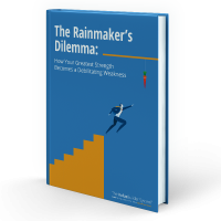 The rainmaker's dilemma ebook cover